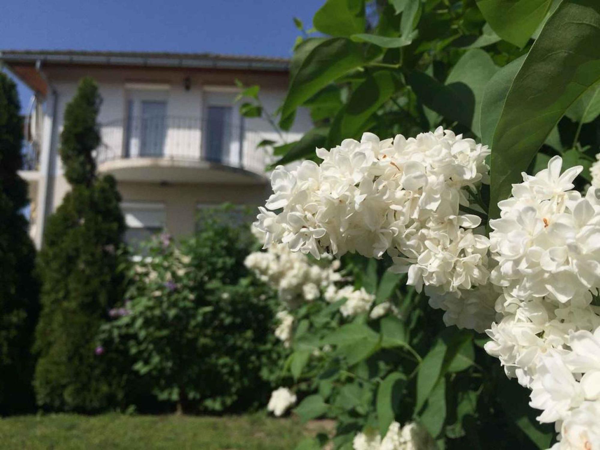 House And Apts. In Balatonlelle 19128 מראה חיצוני תמונה